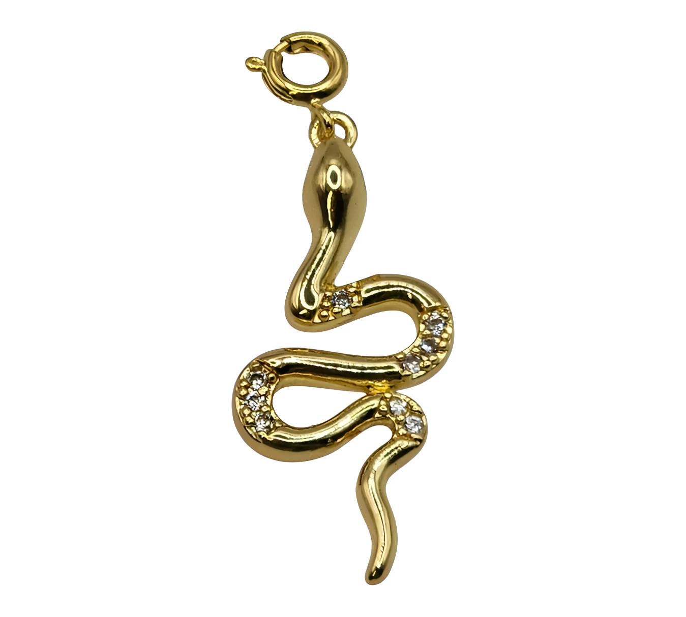 Mystic Serpent Charm
